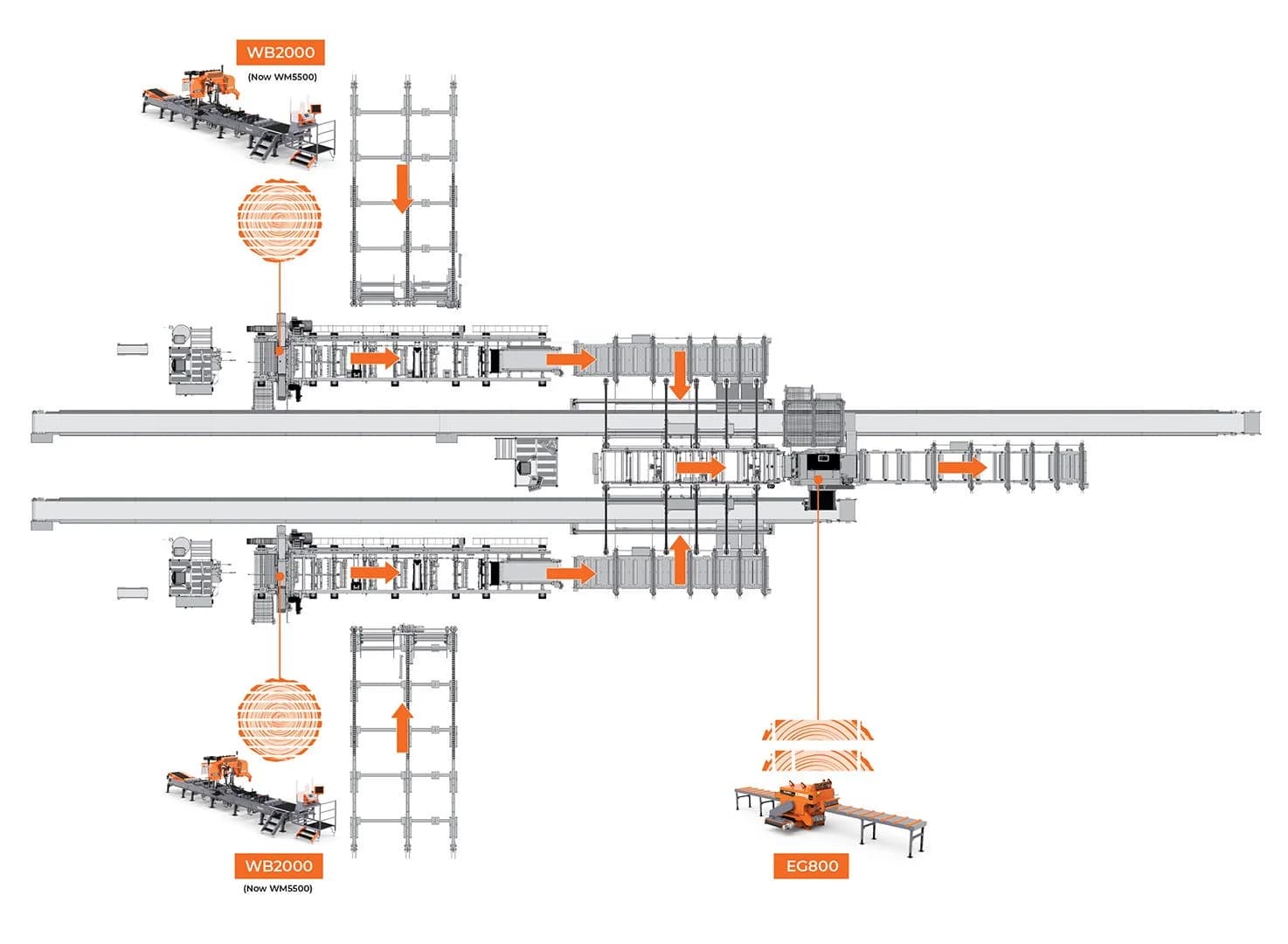 Wood-Mizer layout drawing for System 10: two WB2000 headrig lines (labelled “now WM5500”) with log decks and transfer decks feeding one EG800 edger