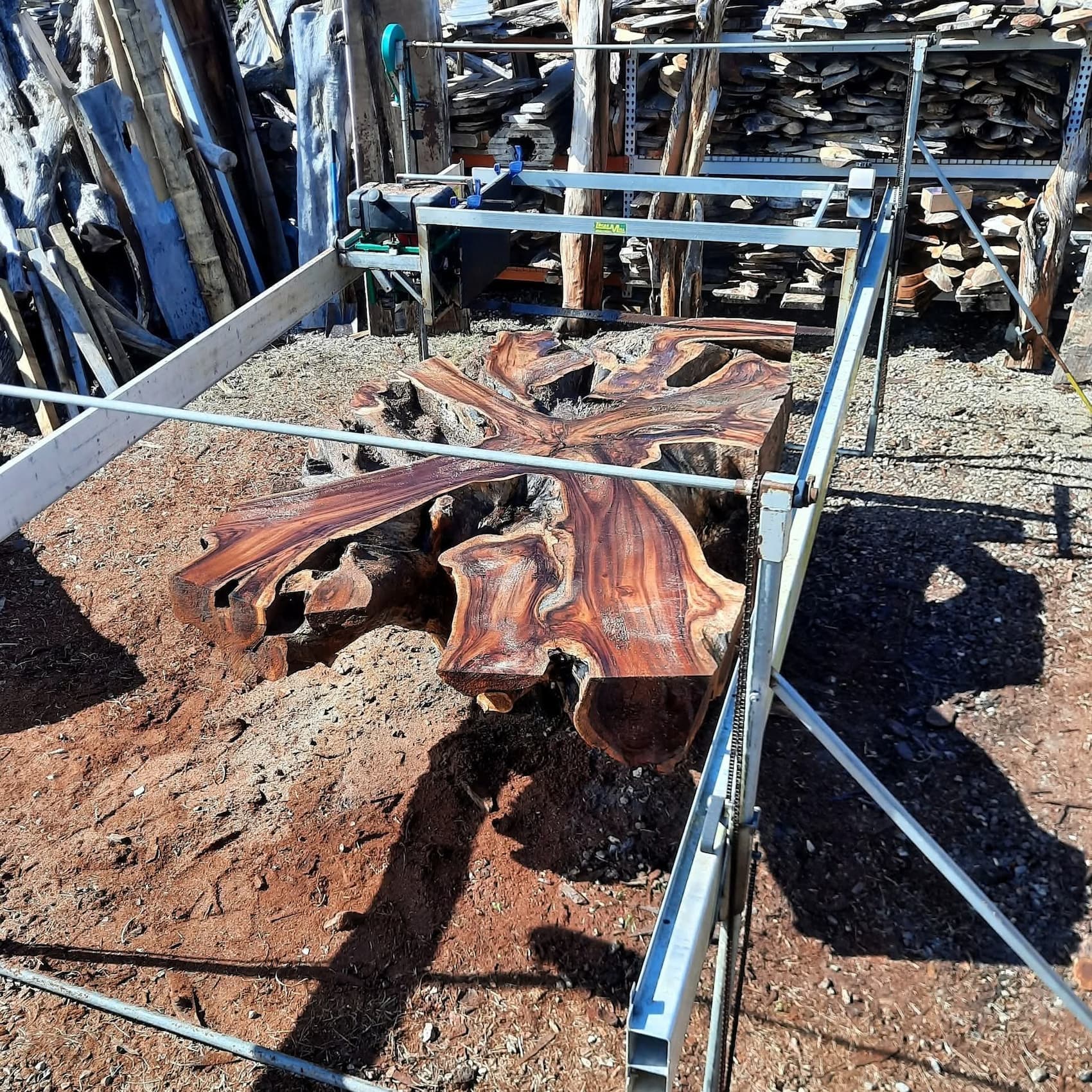 A crotch slab straight off the mill — no finishing yet