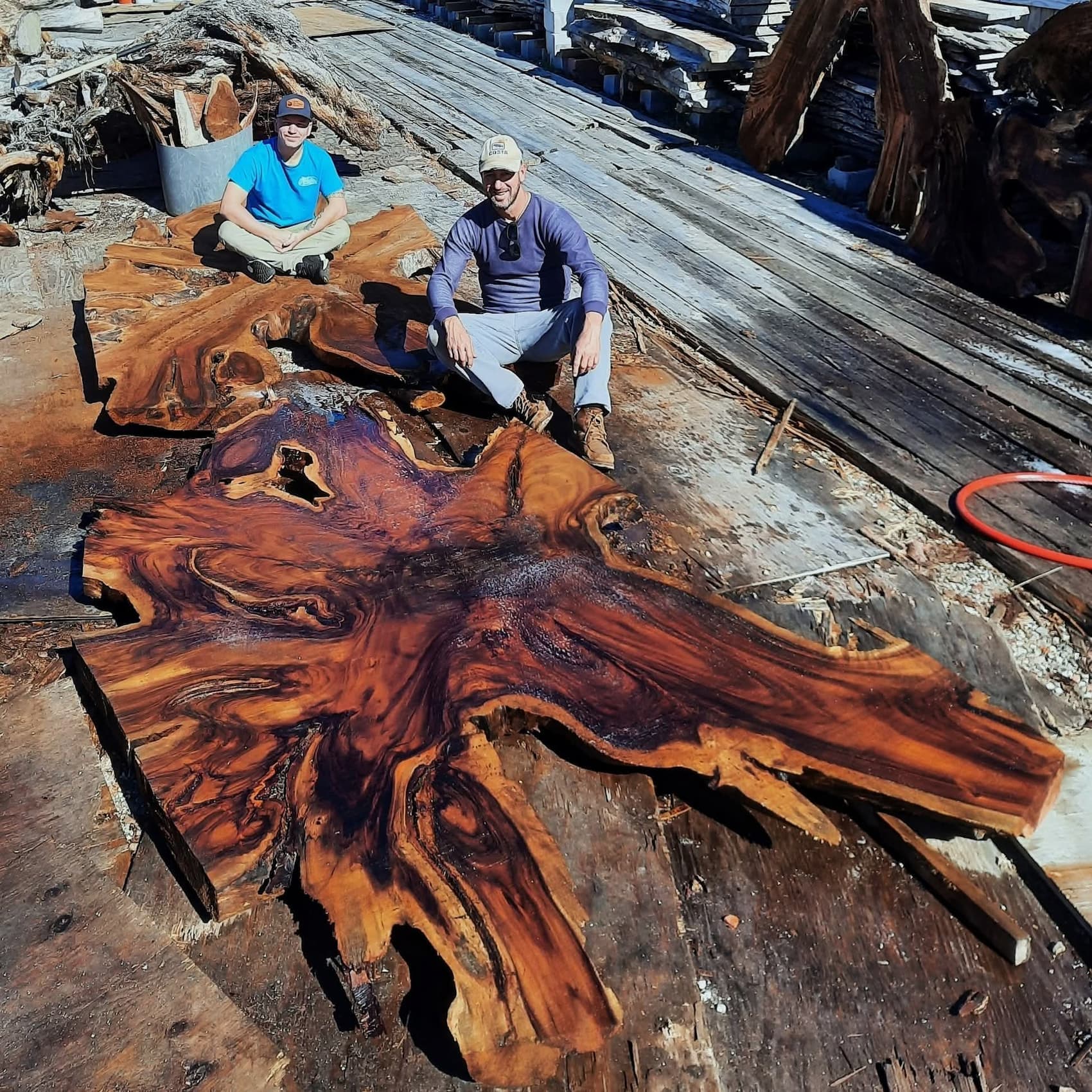Spectacular burl slabs — the result of one big salvaged tree