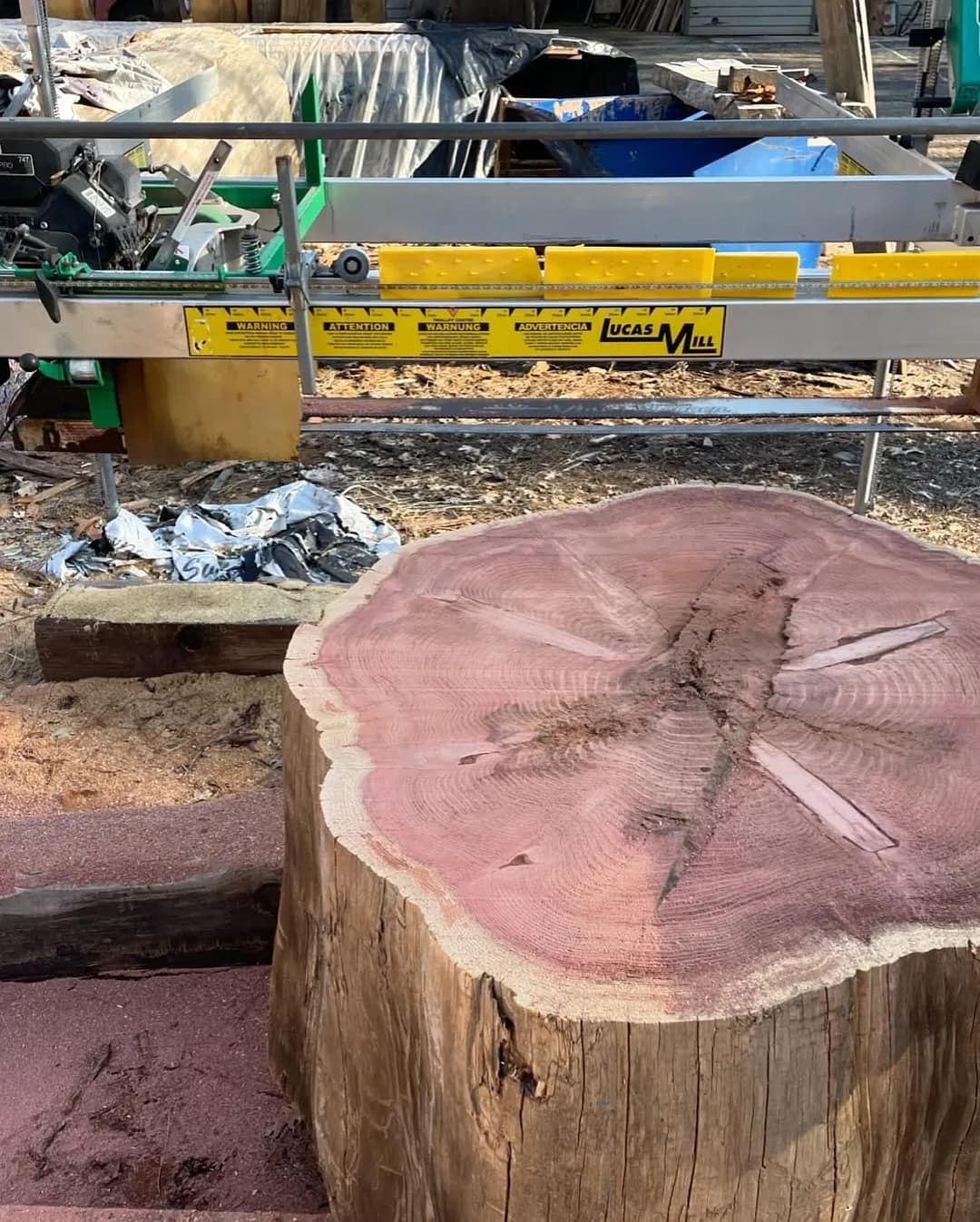 Cut pink cedar round in front of a Lucas Mill frame