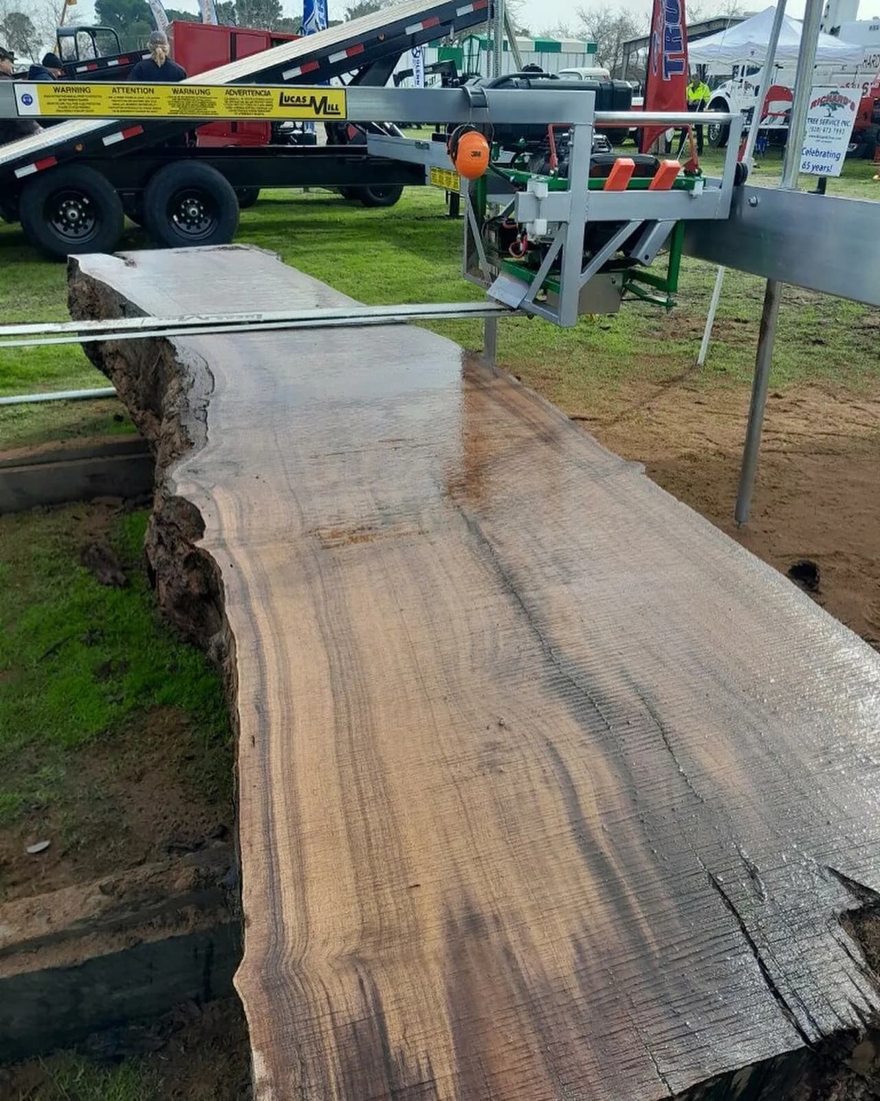Freshly cut wet slab lying on a trailer beside a Lucas Mill