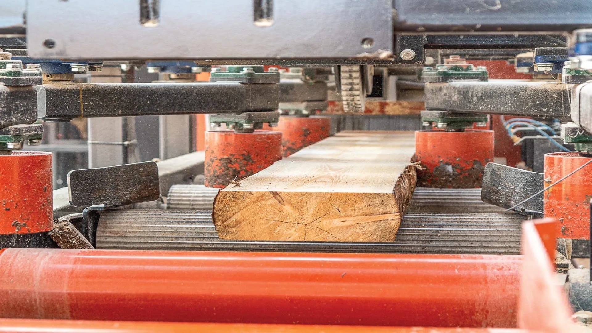 A cant feeding into a Wood-Mizer MR3000 dual-arbor multirip on its roller infeed